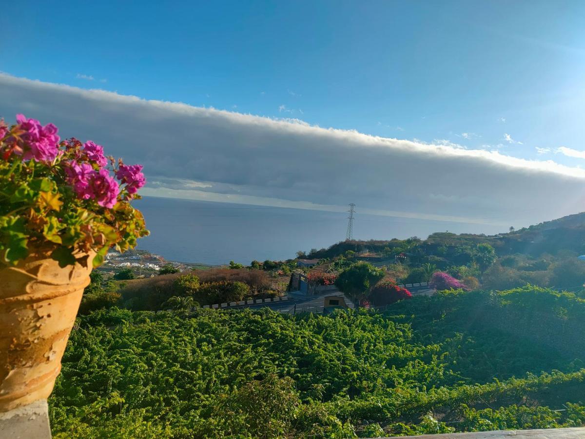 La Guancha Casa Finca El Roque מראה חיצוני תמונה